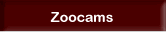 Zoocams